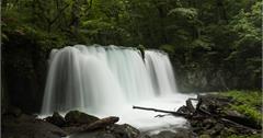 日本青森縣｜奧入瀨溪：夏天避暑的聖地，四季皆美的自然溪流美景