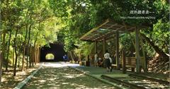 騎遇豎琴橋：十七公里海岸線之香山漫遊~