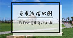 【台東】2018年八月臺東海濱公園，國際地標、鳥巢天空樹走入歷史