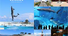 沖繩必買票券》Okinawa Enjoy Pass景點+美麗海水族館通票，自由行這樣玩