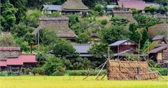 不輸給白川鄉的美山合掌村點燈！美山町吃喝玩樂懶人包