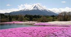日本櫻花櫻花幾月開！2019日本櫻花花期與賞櫻景點搶先看