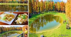 《新竹關西》大樂之野景觀餐廳．愛心池落羽松秘境,情侶約會景點,IG打卡景點!