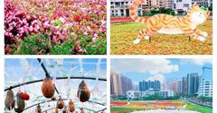 淡海輕軌幾米主題公園，淡水最新景點！搭輕軌與幾米吃美食、看花海、逛公園