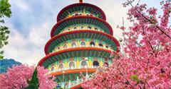 台灣櫻花季2019來啦！全台賞櫻景點推薦top10，體驗粉紅浪漫免出國