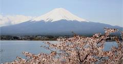 日本富士山櫻花玩法搶先看！2019富士山櫻花景點、美食推薦