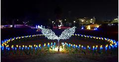 金門｜金城海濱公園：夜間主題花燈開放囉，春節免費參觀景點