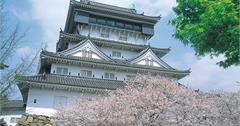 日本福岡賞櫻自由行 景點推薦top10、櫻花預測情報
