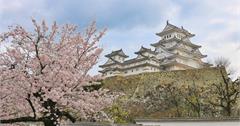 日本姬路城｜賞櫻重點整理：交通門票、拍攝點、置物櫃，世界文化遺產＆日本四大國寶城