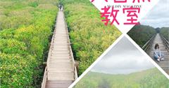 新竹｜新豐紅樹林生態保護區，免費大自然生態教室，適合親子同遊