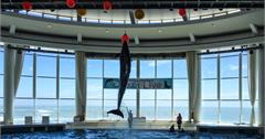 大洗水族館｜茨城縣日本–緊臨太平洋日本第六大水族館，有著500多種海洋生物