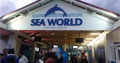 澳洲｜夢工廠Dream World海洋世界Sea World一文雙樂園