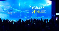 日本｜沖繩自助自駕5天4夜行程總覽
