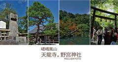 日本關西京都自由行│嵯峨嵐山賞楓最佳，天龍寺與黑色鳥居野宮神社