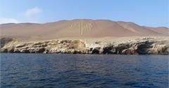 342 【秘魯】鳥島 Islas Ballestas，一場鳥類生態之旅