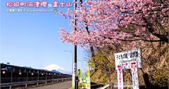 日本｜松田町河津櫻x富士山：西平畑公園，日本賞櫻推薦點，富士見百景