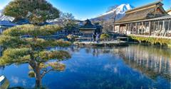 日本自由行｜日本東京&河口湖景點、住宿、美食懶人包