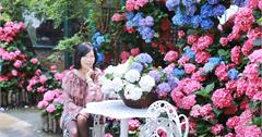 苗栗卓蘭｜繡球花開了！浪漫童話仙境花露農場，唯美拍照夯點等你來～