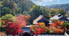 【京都】南禪寺散策：京都賞櫻賞楓熱門必去景點，唯美壯觀。南禪寺周邊景點＆美食地圖
