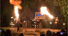 新加坡│夜間動物園：玩樂超值重點整理！交通接駁＆便宜門票，別傻傻只搭遊園車