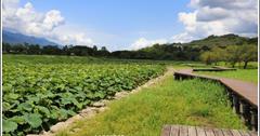 2019年大坡池環湖步道尋荷趣！湖光山色，只是環個湖，怎就走進風景明信片裡