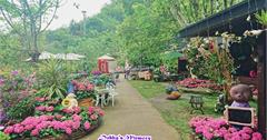 352 【苗栗】碧絡角花園咖啡，走入繡球花的童話花園
