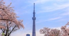 【日本】東京晴空塔TOKYO SKYTREE展望台攻略：超值門票預訂、交通方式、晴空塔實際體驗、推薦美食總整理