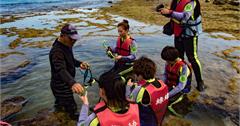 綠島生態旅遊：烤柴魚挑花生！綠島深度旅遊Top5玩法大解密