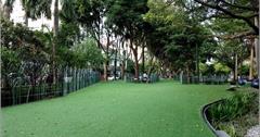 新竹六大免費親子景點。小朋友放假新竹免費親子公園放風趣