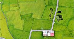 宜蘭冬山｜宜蘭版伯朗大道，三奇村稻間美徑