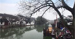 中國蘇州｜水鄉同里意猶未盡：過三橋、退思園、觀前街