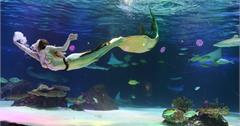 【韓國】首爾汝夷島63大廈展望台、海洋世界水族館，交通、線上優惠門票預訂、夜景推薦