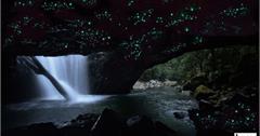 螢火蟲星光超浪漫！泰國、馬來西亞、紐西蘭、澳洲賞螢景點推薦