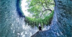 新加坡｜福康寧公園神秘螺旋梯，最隱密的IG打卡點！順遊超好拍舊禧街警察局彩虹門窗