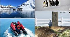 南喬治亞島登陸之一：昔日捕鯨站。Grytviken, South Georgia Island
