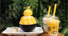 泰國清邁│Mango Mania：塔佩門前芒果冰專賣店！超消暑芒果冰沙＆芒果糯米飯