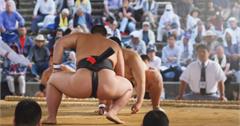 【日本】東京特色體驗活動介紹：武士道、吉卜力美術館、不二雄、職棒、相撲和動漫角色扮演，等你來體驗！