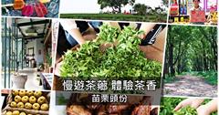 苗栗頭份親子一日遊｜慢遊茶薌、體驗茶香，日新茶園採茶、明怡茶園客家特色餐、頭份楓林隧道巡禮。