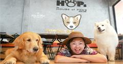 泰國曼谷狗狗咖啡廳｜HoPs Dog Cafe : The House of Paws Dog Cafe，狗派失心瘋的時刻到了！