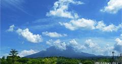 在富士山旁的神秘森林：青木原樹海