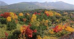 日本│悠遊北海道美瑛富良野 感受道央浪漫秋色