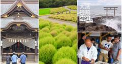 日本茨城｜日立海濱公園掃帚草、大洗磯前神社、那珂湊漁市場，茨城景點一日遊這樣玩！