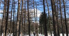 北海道自助旅遊地圖看這篇！北海道道央：散步、滑雪推薦