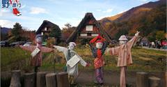 日本北陸自駕環遊 白川鄉合掌村享受浪漫秋意