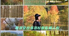 全台｜季節限定，精選全台落羽松16處景點懶人包