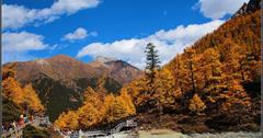 中國四川｜紮灌崩－稻城亞丁景區：一進溝（川西金秋）