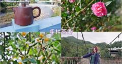 新北｜坪林茶鄉一日遊，坪林老街、石頭屋古厝、觀魚步道、生態園區，好山好水輕碳小旅行～