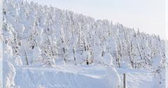 2019日本東北自由行。山形。藏王樹冰。