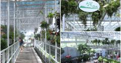 宜蘭｜療癒系順遊景點，香草菲菲，空中步道、花園自助Buffet