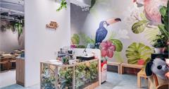 員林》HOUSE V 好室鍋物-員林店。網美搶拍花草系鍋物店,南美熱帶叢林風超美拍,冷藏肉鍋物專門店